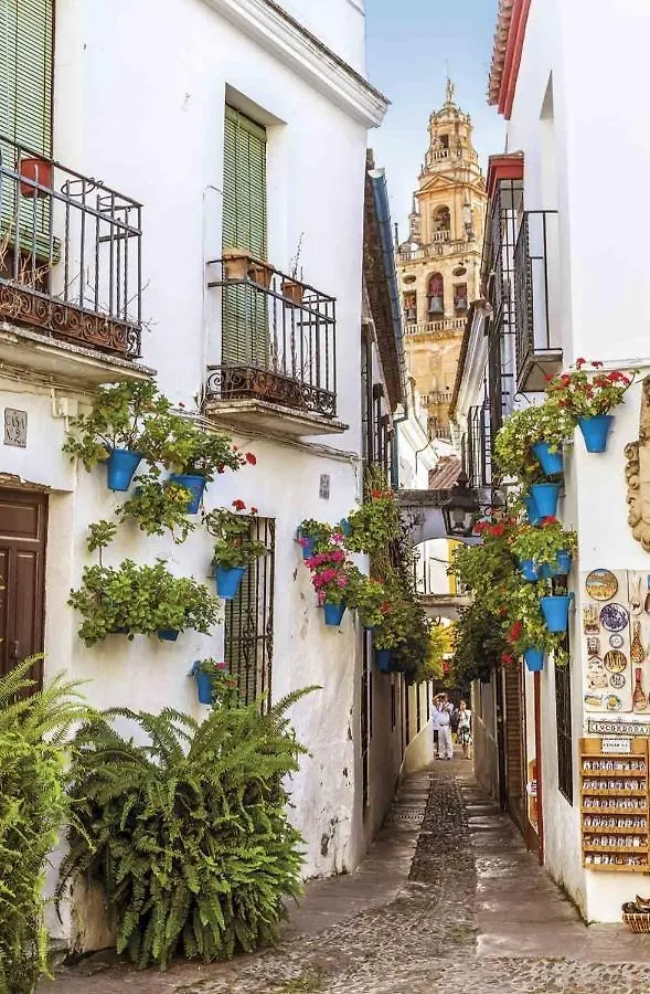 La Terraza Del Puente Y Mezqt-Catedral Apartment Cordoba Spain